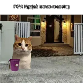 #fypage #memekucinglucu#hiburanmeme#fyppppppppppppppppppppppp 