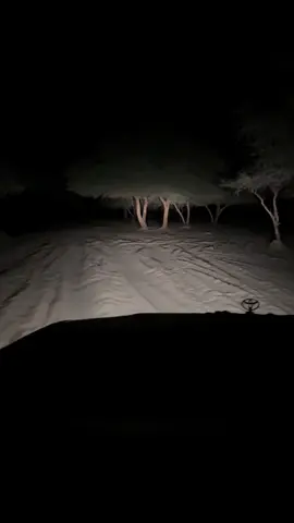 #تبوك