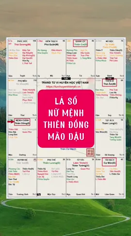 Thiên Dồng Mão Dậu / Thiên Đồng tại Mão. #tuvithienhoaimenh #huyenthienan #tuvi #xuhuong #tuvihuyenthienan 