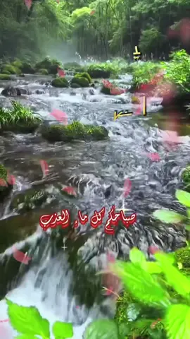 #صباحكم_معطر_بذكر_الله💚🌹🌿🌷😍🌸🙏 #اصبحنا_واصبح_الملك_لله__صباح_الخير #اكثروا_من_الصلاة_على_نبينا_محمد #اللهم_صلي_على_نبينا_محمد #اكسبلورexplore #اكسبلورررررررررررررررررررر #