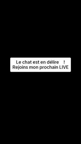 Le chat est en délire !Rejoins mon prochain LIVE