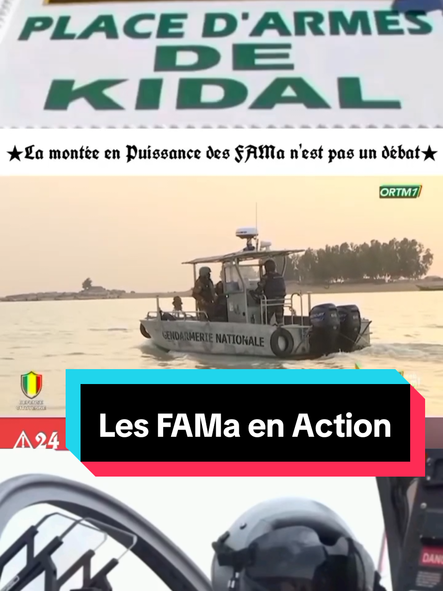 🔴FAMa : Forces Armées Maliennes