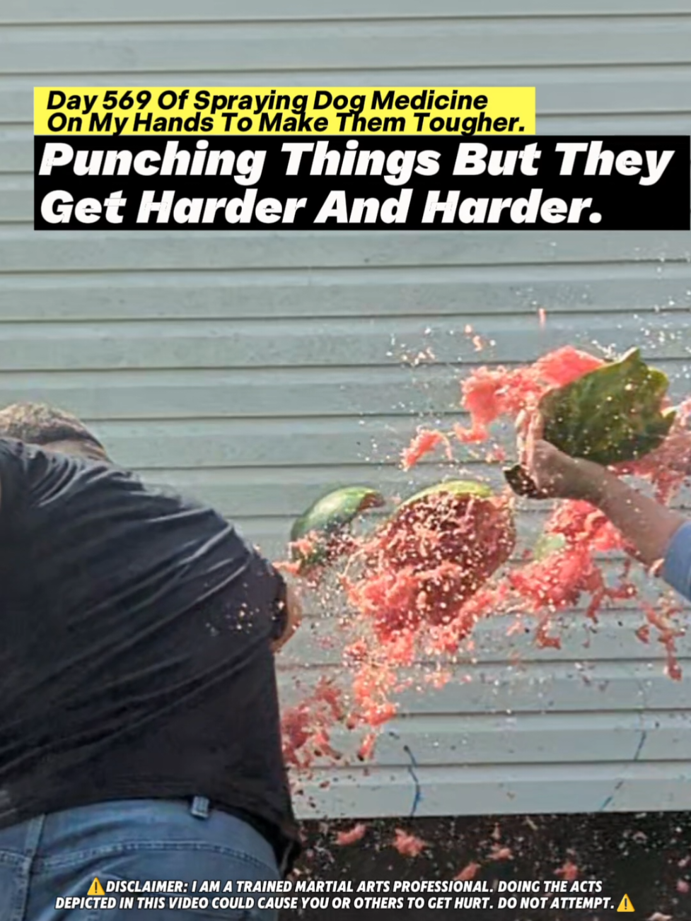 Day 569 Of Spraying Dog Medicine On My Hands To Make Them Tougher. Punching Things But They Get Harder And Harder. #roughhands #dogmedicine #ironfist #martialarts #sandpaper #boxing #badmintontraining #toughhandspray #dogspray #softhands #dryhands #bluecollar #asmr #oddlysatisfying #ballisticdummy #microfibertowel #skincareroutine #fistofthedogmedicine #fyp 
