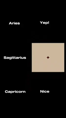 #capricorn #sagittarius #aries #ftypシ #fyp #fyy #foryou #zodiacsigns #zodiac #signs 