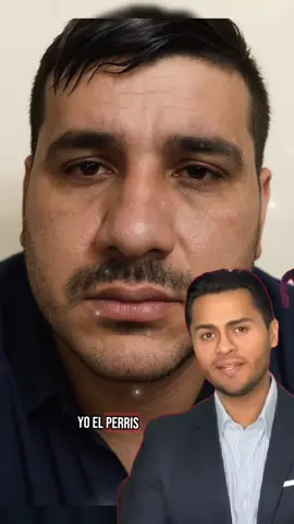 el perris humbertofigueroa  #humbertofigueroa  #elperris 