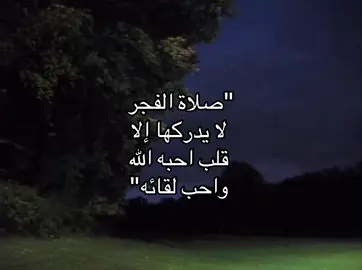 واقيمُوا الصَّلَاة وآتُوا الزكاةَ✨#fyp #foryou #اجر_لي_ولكم #explore #foryoupage #اجر #fact #صلاة_الفجر #الصلاة_خير_من_النوم #اكسبلور 