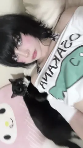 two cats