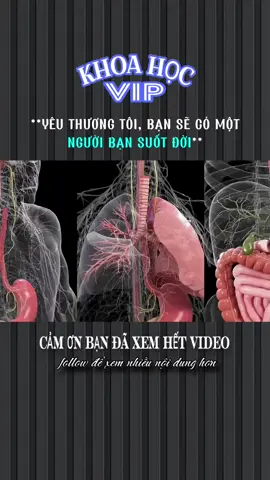 **YÊU THƯƠNG TÔI, BẠN SẼ CÓ MỘT NGƯỜI BẠN SUỐT ĐỜI** #khoahoc #xh #khoahocvip #LearnOnTikTok #khampha #stitch 