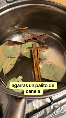 Te de laurel y canela #laurel #canela #agua #resetasnaturales #resetascaseras #remediosnaturales #remedioscaseros 