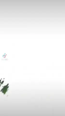 Viviendo, soñando, capturando. #MomentosInolvidables #MiHistoriaEnFotos #CollageDeRecuerdos #ViviendoAlMáximo #RecuerdosFelices #CapturandoLaVida #MiVidaEnImágenes #SonrisasQueInspiran #CollageCreativo #FotosConHistoria