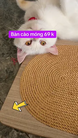 Bàn cào móng cho mèo thư giãn bằng sợi thừng không rơi bụi vụn ra nhà#xuhuongtiktok2024 #xuhuongtiktokk #xuhuong 