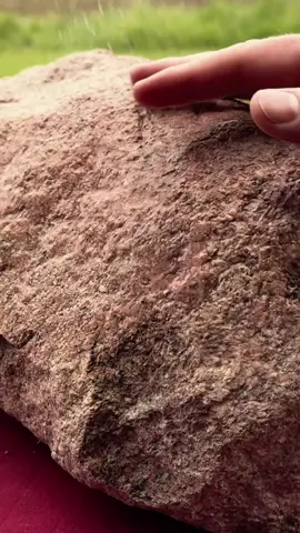 ASMR | Giving a Rock a Haircut #asmr 