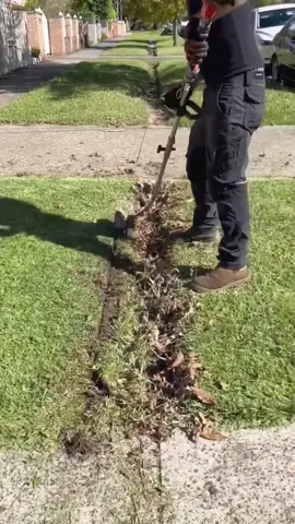 #uncloggingdrains #cuttinggrass #cleaninghouse #satisfying #asmrsleep #asmrsleeprelax #cleaninggarden #camping #tips #cleaningsatisfying #homecleaning #housecleaning #satisfyingcleaning #cleaningasmr #lawncare #lawnmowing #lawnmower 