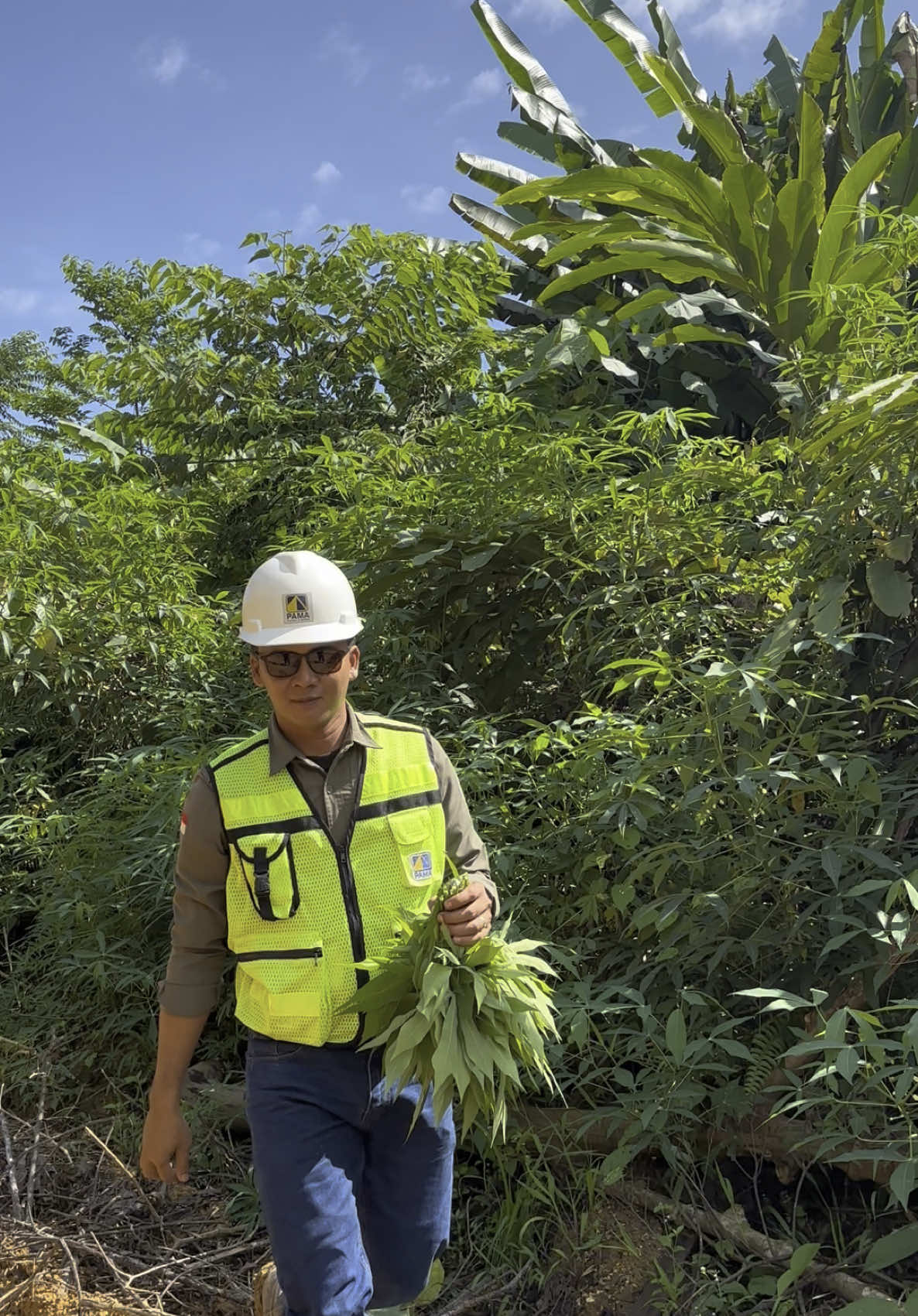 Sayur apa kalau kalian tau😁#fypage #video #fypシ゚ 