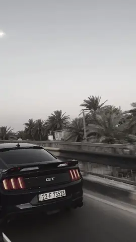 #موستنك 