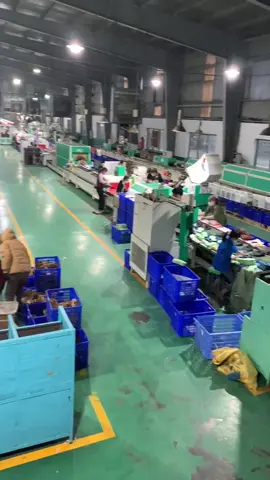 Bộ phận thành hình công ty giày Hải Lâm -  https://vt.tiktok.com/ZShTJtVv4/