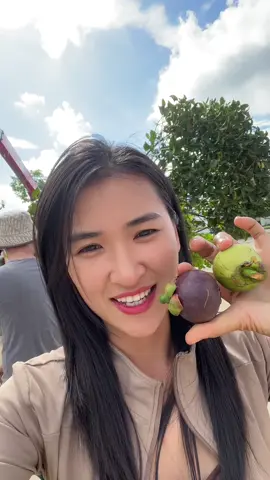 Măng cụt sẵn quả  lủng lẳng#cayxanhthuha #sanvuon #sanvuondep #thietkethicongsanvuon #canhquansanvuon #cayanqua #cayantrai 