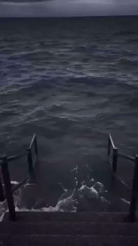 Chặt gì cơ anh Sáng#xh#meme#phd#sangtienxu#sangtiensu#phd