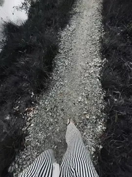 Cái gì cũng tao sai ai cx đúng ên tao sai.
