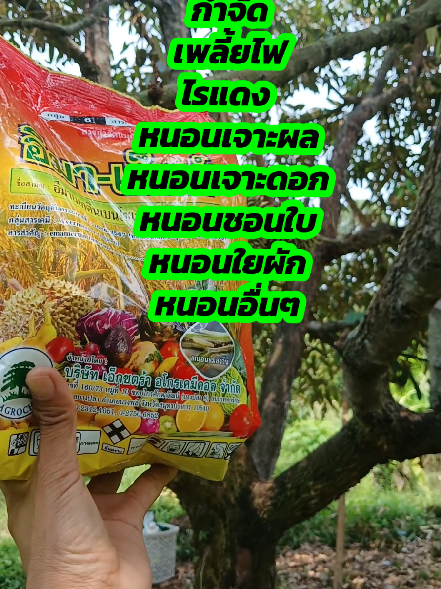 #อีมาเอ็กซ์ #อีมาเมกตินเบนโซเอต #อีมาตัวดังในtiktok #อีมาเอ็กซ์ยาฆ่าหนอน #อีมาเมกติน #อีมาเอ็กซ์1กิโลกรัม #สารกําจัดแมลง #กําจัดแมลง #รีวิว #รีวิวของดีบอกต่อ #เกษตรสาวภูธร 