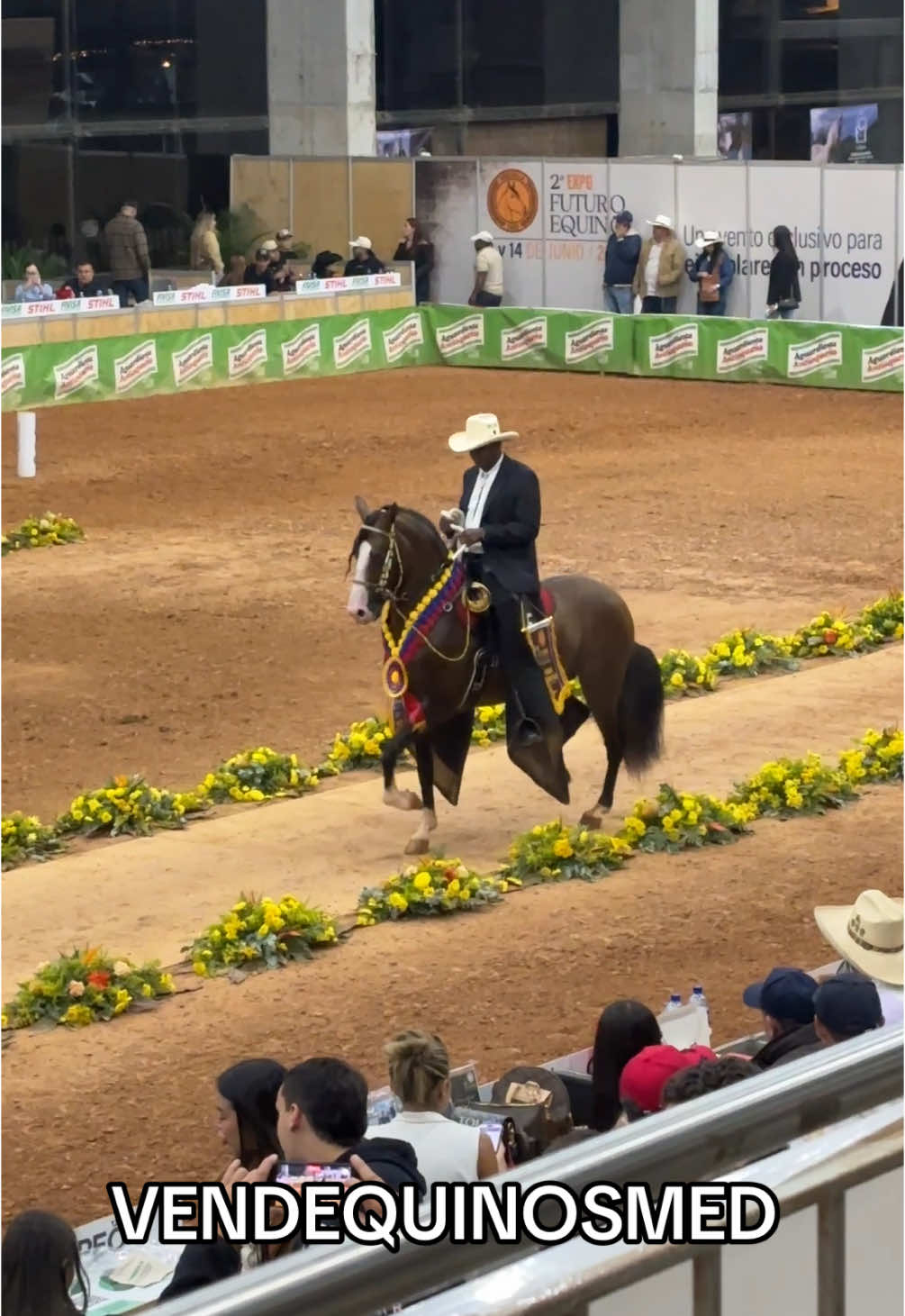 🇨🇴🏆GRAN CAMPEÓN DE LA TROCHA EN LA EXPOSEDE 2025 🇨🇴🏆 💎DIAMANTE CAÓTICO DEL SALEM 💎 @prodigiosotrocha ❌ Reina Isabel de Villa mile (@prodigiodemariarosa ) Felicitaciones por tan excelente labor, con este magnífico ejemplar, el manejo y arreglo que tiene y lo que le falta con la madurez con el paso del tiempo es algo muy prometedor. @agropecuarianoblezaequina  @diegofernando.charaandrade  @howard_de_la_suerte  @diamante_caotico_de_salem  . . . . #caballos #caballocriollocolombiano #ccc #caballistas #caballoscriollos #caballistasdecorazon #horse #troteygalopecolombiano⚡️🐴🇪🇨🇨🇴🇨🇴🇪🇨🐴⚡️