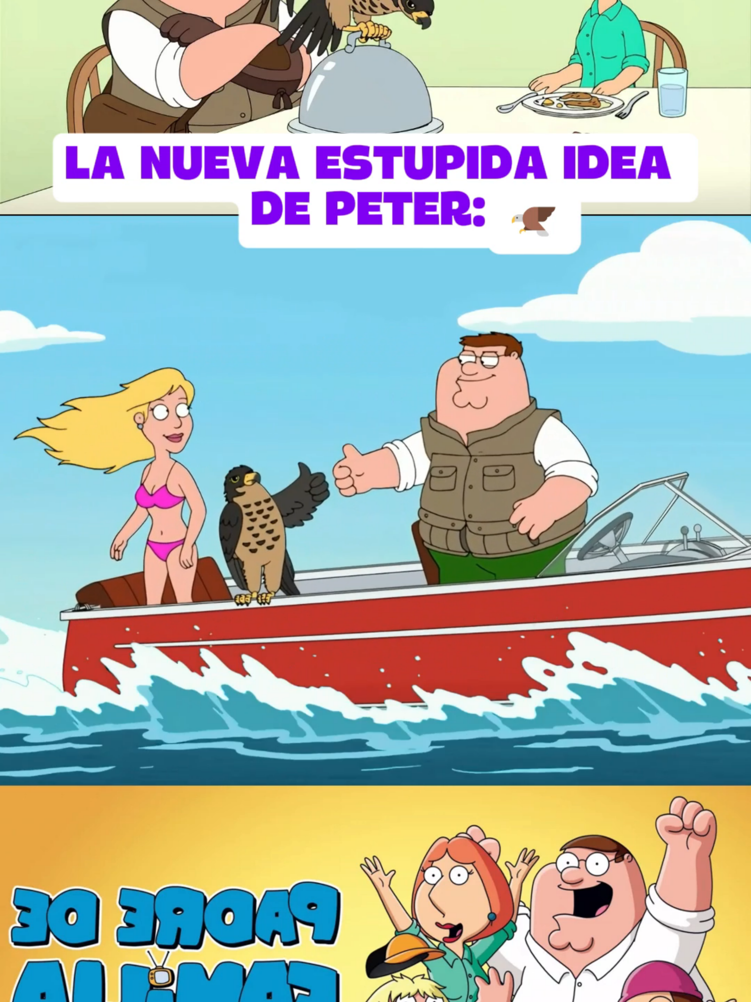 PETER SE VUELVE HALCONERO🦅🤪: PADRE DE FAMILIA  Perter decide convertirse en un Halconero, y consigue un nuevo a amigo XERXES#clips #serie #paratiiiiiiiiiiiiiiiiiiiiiiiiiiiiiii #padredefamilia #stewiegriffin #glennquagmire #familyguyclips #petergriffinmemes #briangriffin #comedia #comediahumor #HUMOR #quagmire #series #petergriffin #halcon #cetreria #cetrerostiktokers