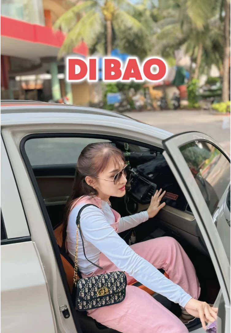 Cực cuốn nha cả nhà #xediendibao #dibaovietnam @DIBAO Việt Nam 