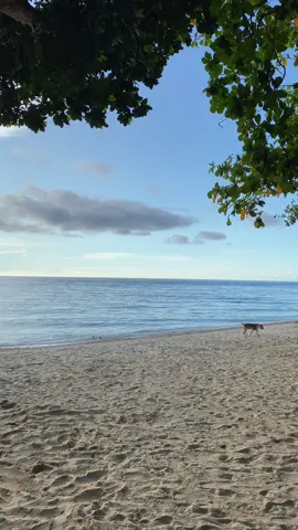 Kalami mo tambay og in ani lang panahon sa baybay 🌊
