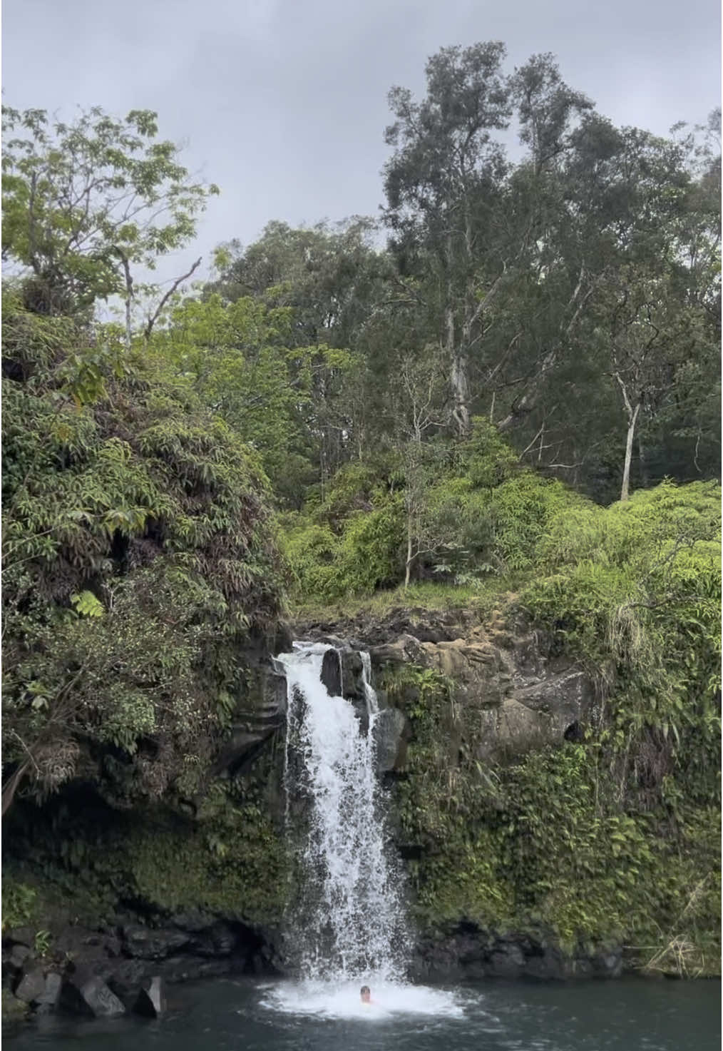 Twin Falls. The road to Hana. One of my favorite days in Maui.  📍 $10 a car to park at Twin Falls. It fills up fast. Don't forget to stop in Paia first and grab yourself a honey vanilla latte! 📍Rainbow Trees (be sure to stop and take a look!)  📍Black Sand Beach (you need reservations) however if you are respectful and follow the rules there are places along the way to stop that mimic the black sand beach.  📍Banana Bread on the road (we didn't stop but I hear it's worth it)  📍The are serval places serving food along the way - but not a lot of bathrooms so plan accordingly  📍7 pools (no longer open to the public)  📍The roads are nerve wracking in places, and depending one who is driving (I'm talking to you, hubs) you make experience a little car sickness on the way back down, but overall if you drive slow and safe you'll be ok #twinfalls #twinfallsmaui #roadtohana #maui #thingstodoinmaui #Maui 	#MauiHawaii 	#VisitMaui 	#MauiVacation 	#MauiTrip 	#MauiAdventures 	#MauiNoKaOi 