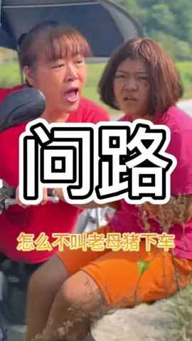 #问路 