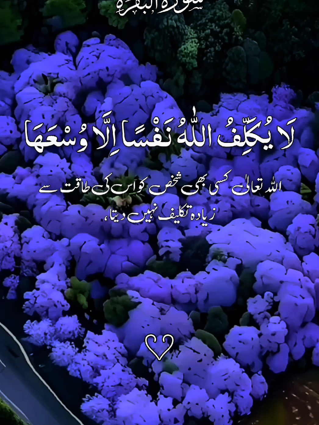 القرآن الکریم 🌹🌹❤ #quran #quranicquotes #islamicreminders #islamicreelsvideo #growmyaccount  #quran #islamicquotes #quran #foryou #longervideos  #quran_kareem #quranrecitation #islamicreminder #quranonline786 