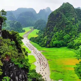 Sắc Vàng Tam Cốc - Tràng An 2025 🌾🌾🌾#tamcoc #trangan #dulichninhbinh #dulichvietnam #bandocheckinvn #CapCut #thinhhanh #amazingvietnam @attran.vn @Như quỳnh💃 