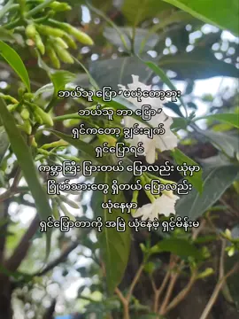 @Kaung kin ကြောက်အောင် ခြောက်လည်း ကြောက်ပေးမဲ့ မိန်းမ🎀🌷#fypシ 