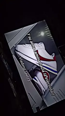 #quevallascondios #bigboy#nikecortez#paratii #viraltiktok#paratodosdetiktok♡ 