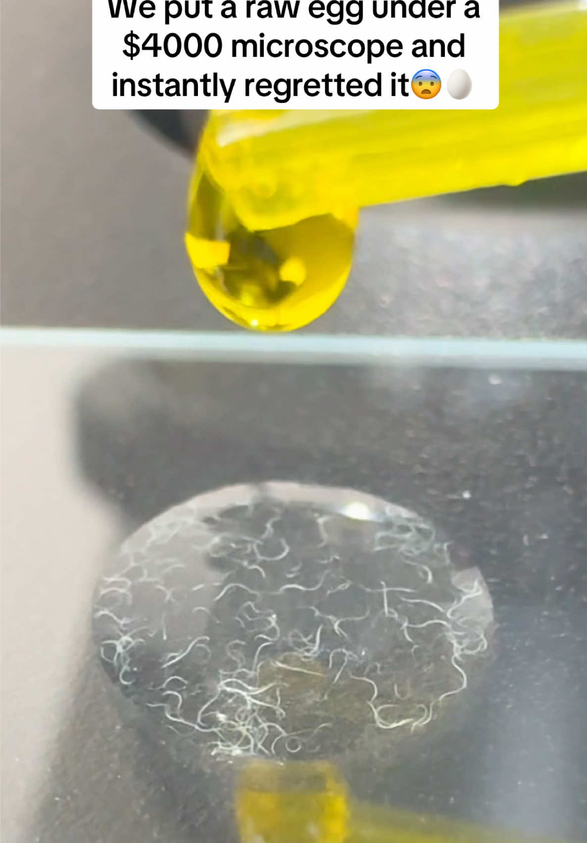 What should we look at next? 