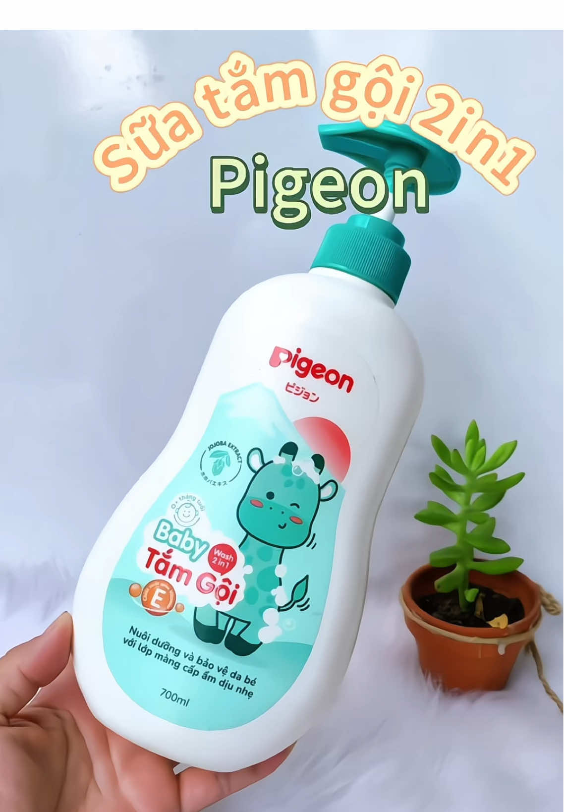 Sữa tắm gội 2in1 Pigeon hương jojoba. #nhungmecam #chamcon #mebimsua #suatamgoitreem #suatamgoi2in1chobe #pigeon #pigeonvietnam #suatamgoipigeon #suatampigeon 