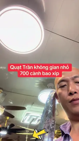Quạt Trần không gian nhỏ  700 cành bao xip Trần 2m3  Phòng nhỏ điều hòa nhà vệ sinh#vuaquat 