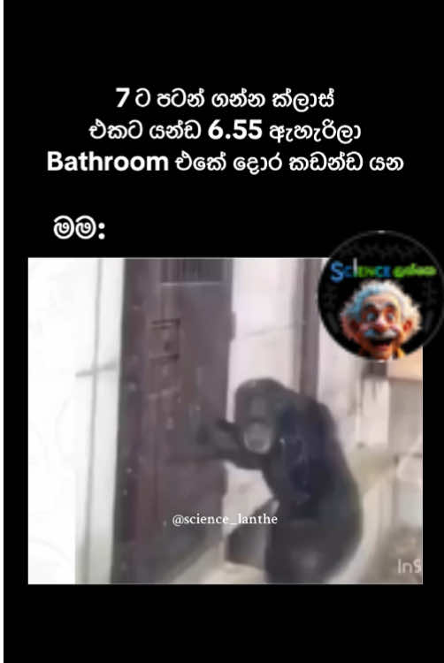 මෙහෙම සීන් ඔයාලටත් වෙනවද ළමයි 😂💔 #goviral #ලංකාවේ #ටියුශන්_ක්ලාස් #fyp #foryou #foryoupage #trending #meme #sinhala 
