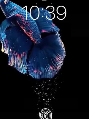 4D Animation Fast Charging!