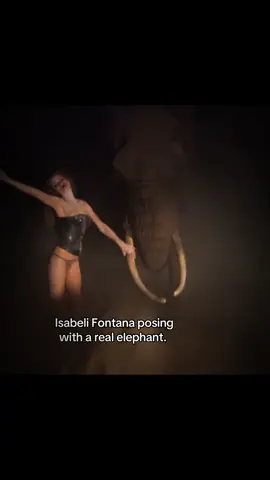 Tell me your a supermodel without telling me you are #isabelifontana for #pirellicalendar  #models #fyp #carmenkass ##modelfacts #fashion 