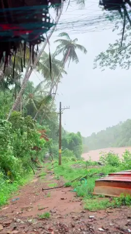 ☔️☔️☔️