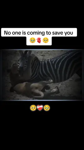 This life is yors and it your responsibility to save your life 🥹❤️‍🩹 #mindset #creatorsearchinsihts #foryou #motivationalline #motivationalvideos #motivation #deepthoughts 