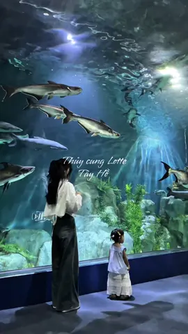Thủy cung Lotte Tây Hồ ✨ #review #fyp #viral #xuhuong #thuycung #thuycunglottehanoi 