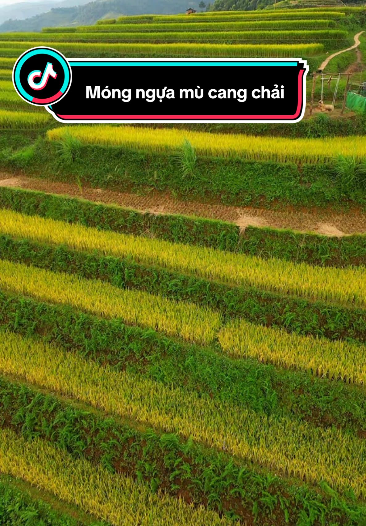 Móng ngựa mù cang chải chưa bao giờ hết hót.góc nhìn từ trên cao…. #dulich #mucangchai #phuotluon #flycam #guide #ade 