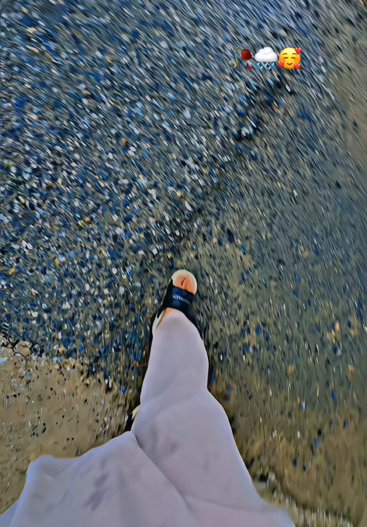 Ta RaYaDaWe BaRaN🥀⛈️🥰#foryoupage #unfreezemyacount #support #rain #weather #plzunfrezemyaccount #repost #foryou #fyp #viral #please #🥺 #tiktokteamviralmyvideo #fyppppppppppppppppppppppp #fyppppppppppppppppppppppp #viralllllll #growmyaccount #foryoupageofficiall #foryouviral #duet #viralvideo #foryoupageofficiall 