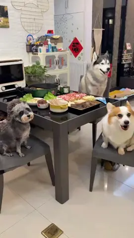 Today we share hotpot~#ZooDirector #Eating #fyp 