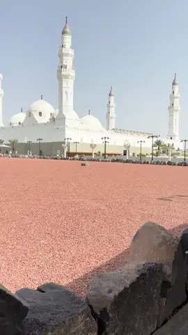 عن أبي هريرة رضي الله عنه قال جاءت فاطمة إلى النبي صل الله عليه وسلم تسأله خادمآ فقال لها : اللهم رب السماوات السبع ورب العرش العظيم ربنا ورب كل شيء منزل التوراة والإنجيل والقرآن فالق الحب والنوى عوذ بك من شر كل شئ أنت أخذ بناصيته أنت الأول فليس قبلك شيء وأنت الآخر فليس بعدك شيء و أنت الظاهر فليس فوقك شيء وأنت الباطن فليس دونك شيء ، اقض عني  الدين وأغنني  من الفقرأخرجه الترمذي وللفظ له وابن ماجة وابن  حبان المدينة المنور#المدينه_المنورة #مسجدقباء 