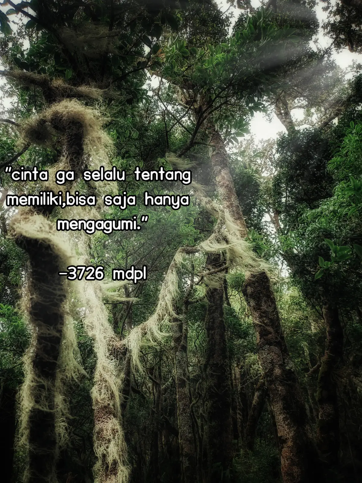 #aboutyou #3726mdpl #fypage #pendakigunung  #raungkalibaru 