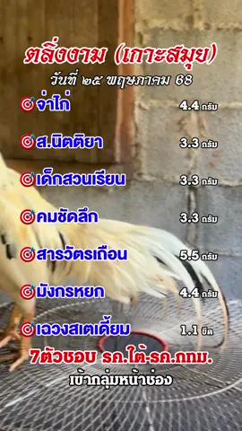 ตลิ่งงาม (เกาะสมุย) 25-05🐓💯  #จ่าไก่ #เซียนน้อย88 #ส.นฤมล #ส.นิตติยา #เด็กสวนเรียน #เฉลิมพงศ์ฟาร์ม #คมชัดลึก #เพชรมงคล #สารวัตรเถือน #พลังทรัพย์ #มังกรหยก #รถถัง #เฉวงสเตเดี้ยม #ไก่เดือย #ไก่เดือยใต้ #ไก่เดือยภาคใต้ #อนุรักษ์ไก่ใต้🐓 