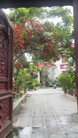 Mùa hoa đến #ngôinhàhạnhphúc #xuhuongtiktokkk❤️❤️🌟🌟 